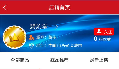 国玄艺术网董先生金牌店铺「碧沁堂」 诚寻有缘人，共启在线教育新篇